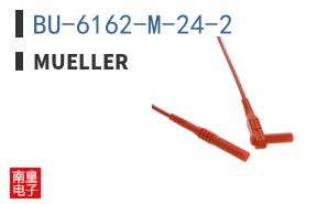 BU-6162-M-24-2 ͼƬ