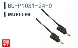 BU-P1081-24-0 ͼƬ
