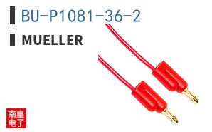 BU-P1081-36-2 ͼƬ