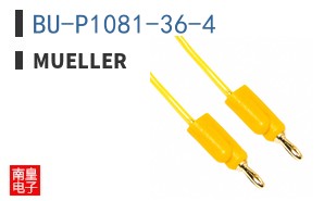 BU-P1081-36-4 ͼƬ