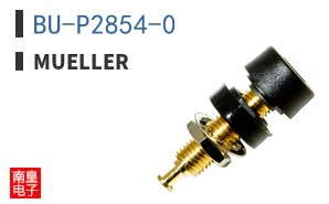 BU-P2854-0 ͼƬ