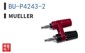 BU-P4243-2 ͼƬ