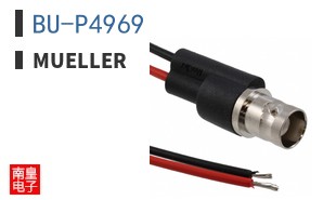 BU-P4969 ͼƬ
