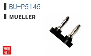 BU-P5145 ͼƬ