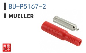 BU-P5167-2 ͼƬ