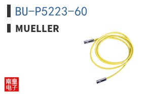 BU-P5223-60 ͼƬ