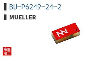 BU-P6249-24-2 ͼƬ