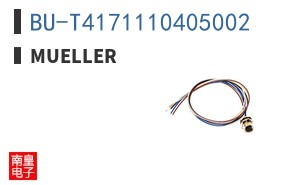 BU-T4171110405002 ͼƬ