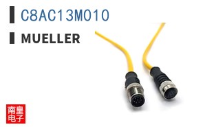 C8AC13M010 ͼƬ