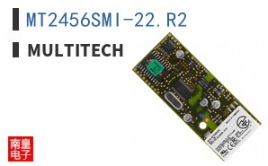 MT2456SMI-22.R2 ͼƬ
