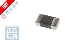 BLM31KN102SN1L 图片