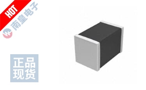 ERB21B5C2E330JDX1L 图片