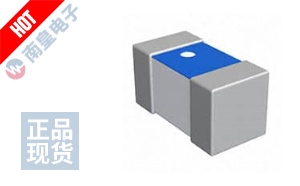 LQP03TG9N1J02D 图片