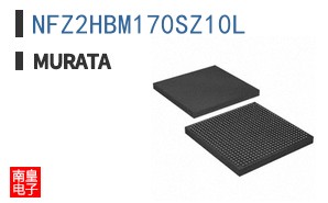 NFZ2HBM170SZ10L ͼƬ
