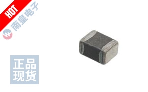 NFZ2MSM101SN10L 图片