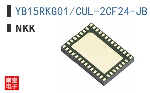 YB15RKG01/CUL-2CF24-JB ͼƬ