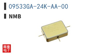 09533GA-24K-AA-00 ͼƬ