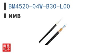 BM4520-04W-B30-L00 ͼƬ