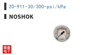 20-911-30/300-psi/kPa ͼƬ