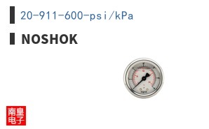20-911-600-psi/kPa ͼƬ