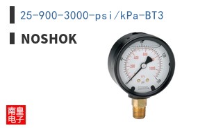 25-900-3000-psi/kPa-BT3 ͼƬ