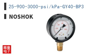 25-900-3000-psi/kPa-GY40-BP3 ͼƬ