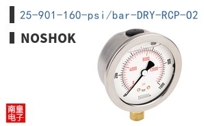 25-901-160-psi/bar-DRY-RCP-O2 ͼƬ