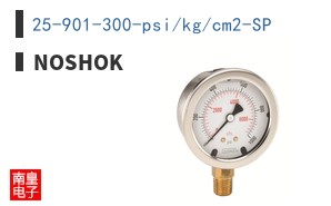 25-901-300-psi/kg/cm2-SP ͼƬ
