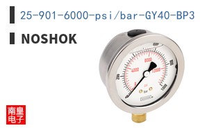 25-901-6000-psi/bar-GY40-BP3 ͼƬ
