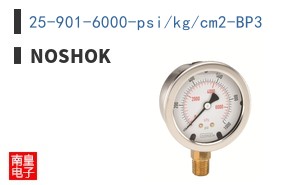 25-901-6000-psi/kg/cm2-BP3 ͼƬ
