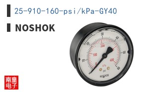 25-910-160-psi/kPa-GY40 ͼƬ