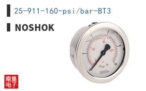 25-911-160-psi/bar-BT3 ͼƬ