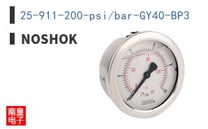 25-911-200-psi/bar-GY40-BP3 ͼƬ