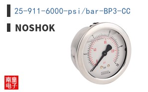 25-911-6000-psi/bar-BP3-CC ͼƬ