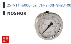 25-911-6000-psi/kPa-SG-SPMC-CC ͼƬ