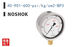 40-901-600-psi/kg/cm2-BP3 ͼƬ