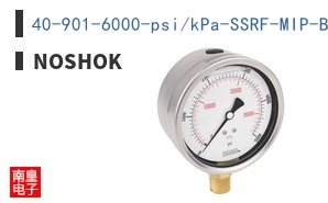 40-901-6000-psi/kPa-SSRF-MIP-BT8 ͼƬ