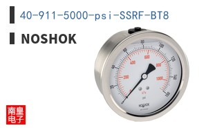 40-911-5000-psi-SSRF-BT8 ͼƬ