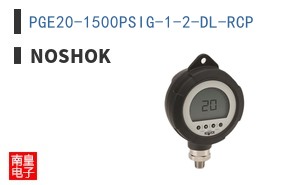 PGE20-1500PSIG-1-2-DL-RCP ͼƬ