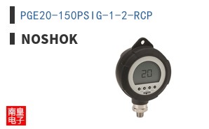 PGE20-150PSIG-1-2-RCP ͼƬ