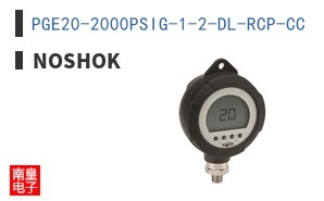 PGE20-2000PSIG-1-2-DL-RCP-CC ͼƬ