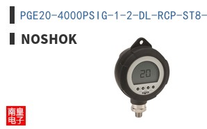 PGE20-4000PSIG-1-2-DL-RCP-ST8-CC ͼƬ