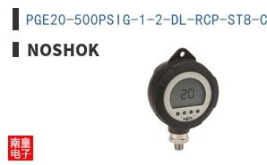 PGE20-500PSIG-1-2-DL-RCP-ST8-CC ͼƬ