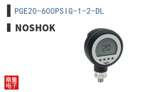 PGE20-600PSIG-1-2-DL ͼƬ