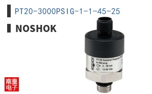 PT20-3000PSIG-1-1-45-25 ͼƬ