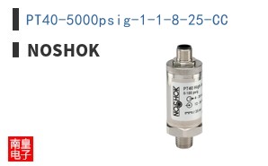 PT40-5000psig-1-1-8-25-CC ͼƬ