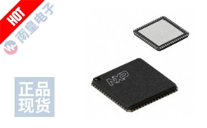 LPC2138FHN64,557 ͼƬ