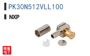 PK30N512VLL100 ͼƬ