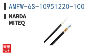 AMFW-6S-10951220-100 ͼƬ