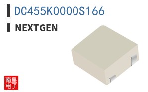 DC455K0000S166 ͼƬ